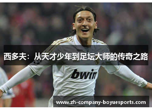 西多夫：从天才少年到足坛大师的传奇之路