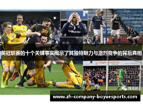 英冠联赛的十个关键事实揭示了其独特魅力与激烈竞争的背后真相 英冠联赛的十个关键事实揭示了其独特魅力与激烈竞争的背后真相