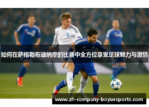 如何在萨格勒布迪纳摩的比赛中全方位享受足球魅力与激情