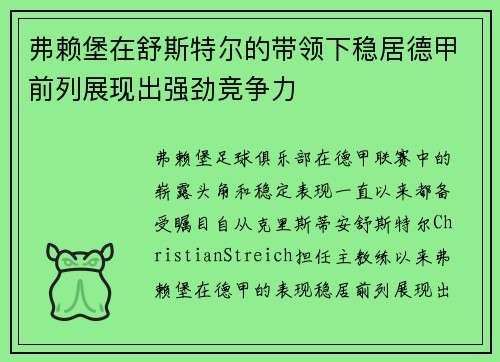 弗赖堡在舒斯特尔的带领下稳居德甲前列展现出强劲竞争力